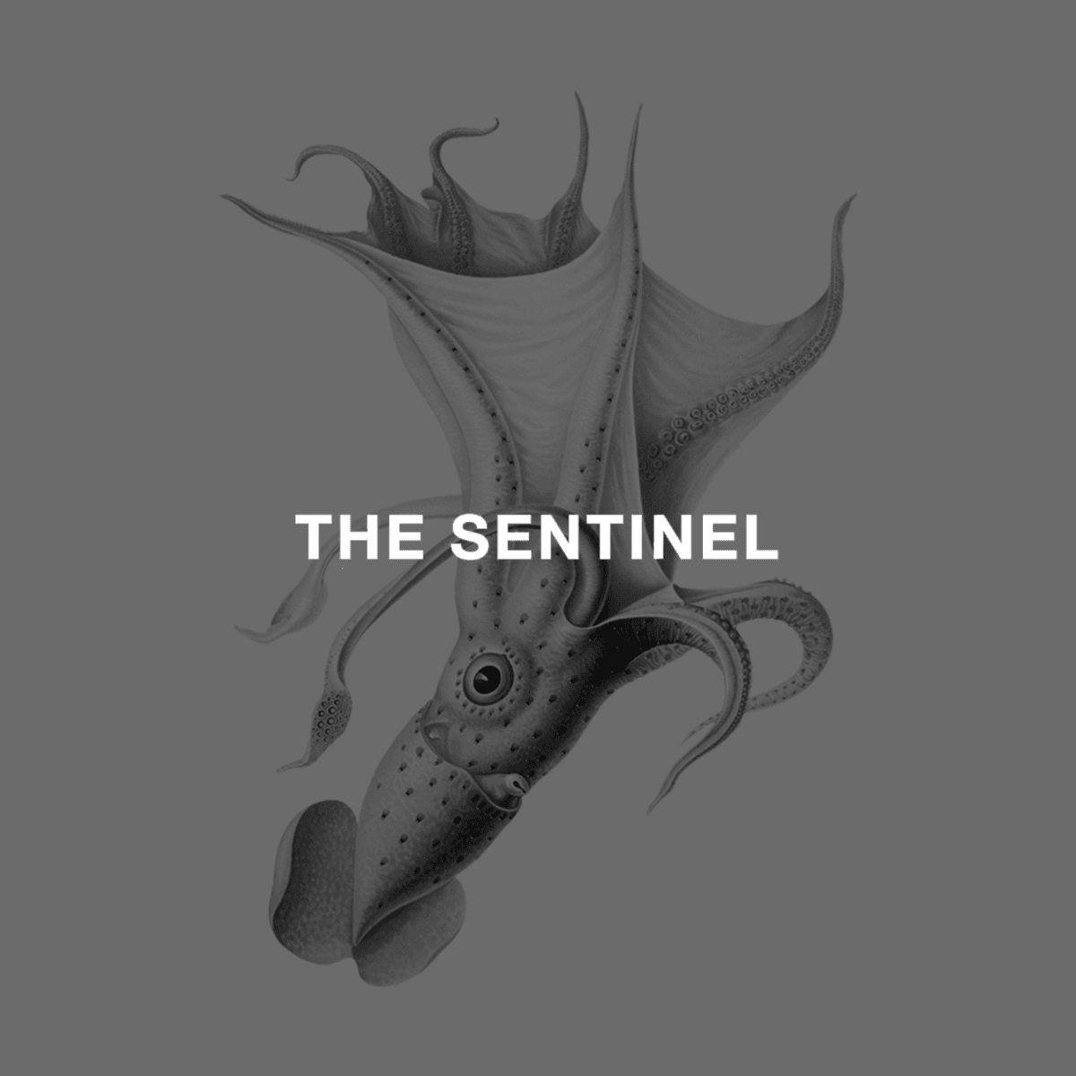 The Sentinel logo