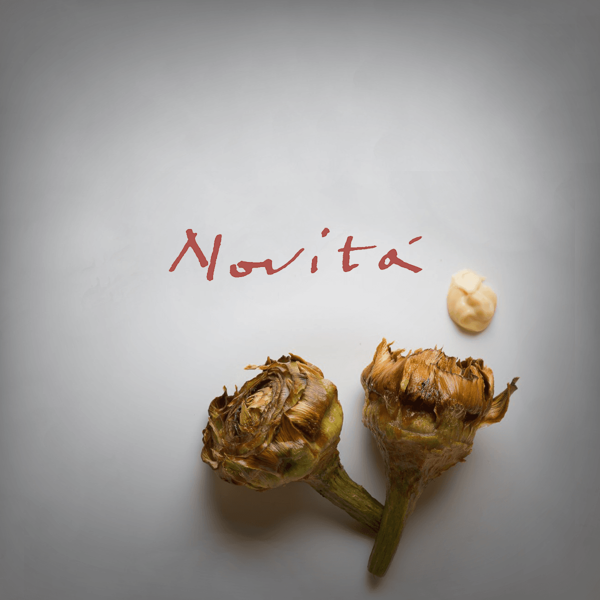 Novita logo