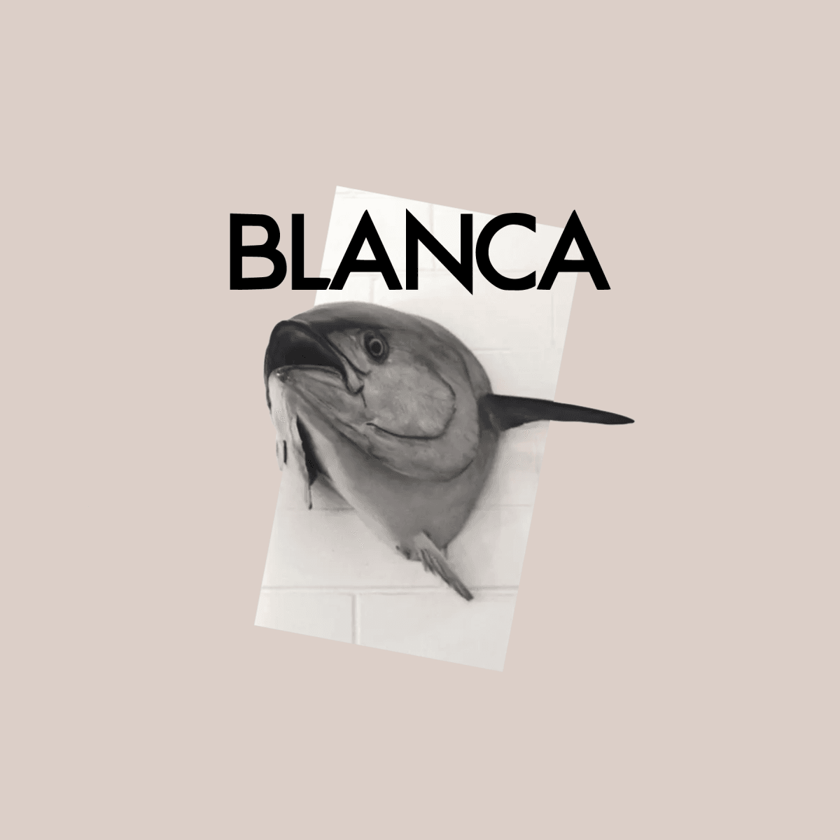 Blanca logo