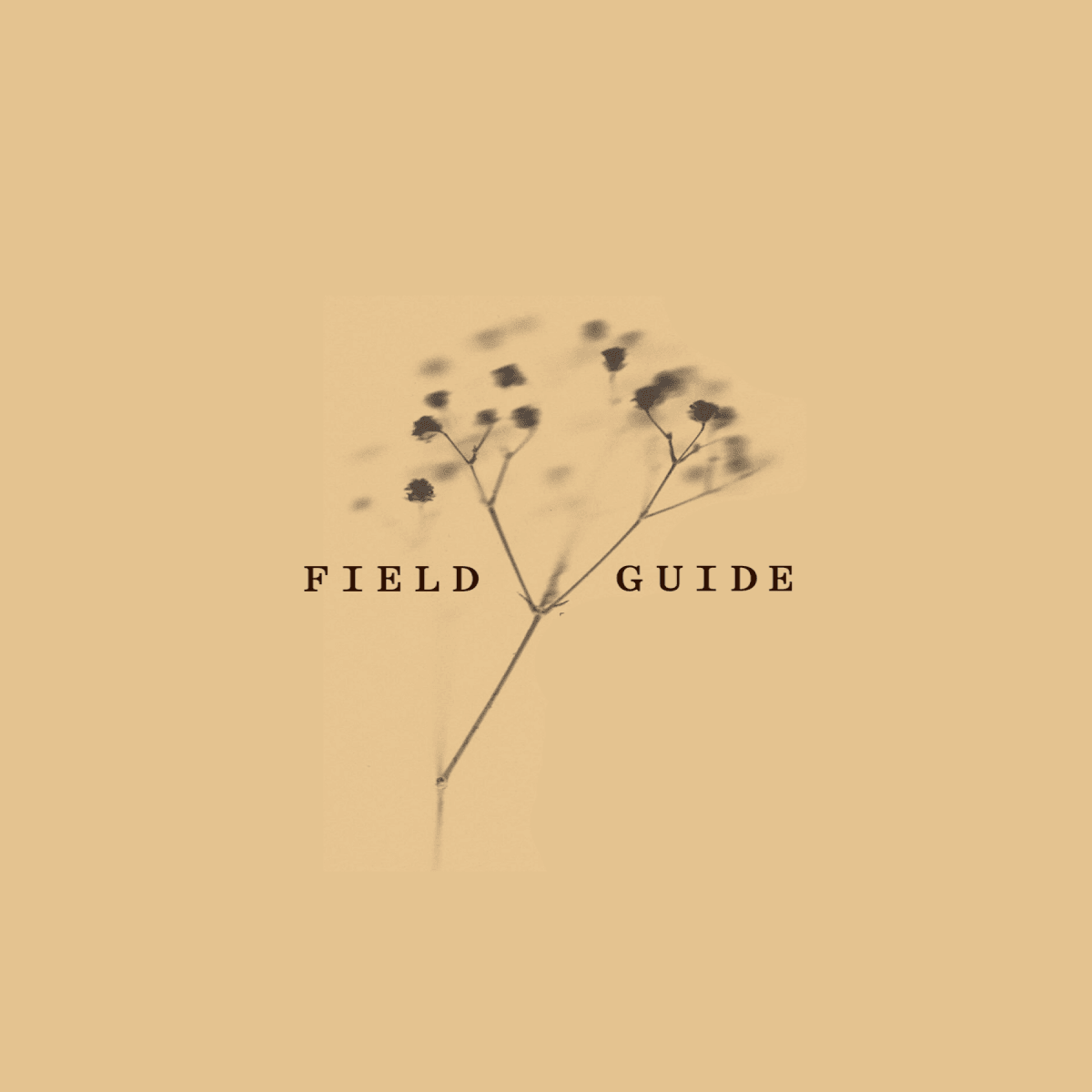 Field Guide logo