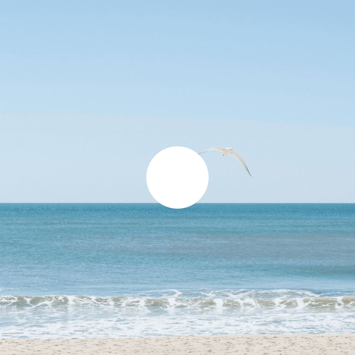 Left Hand Coffee - Montauk Beach House logo