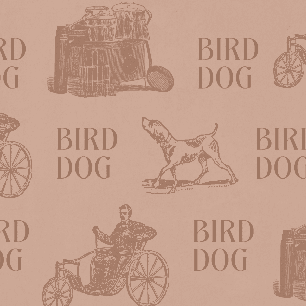 Bird Dog logo