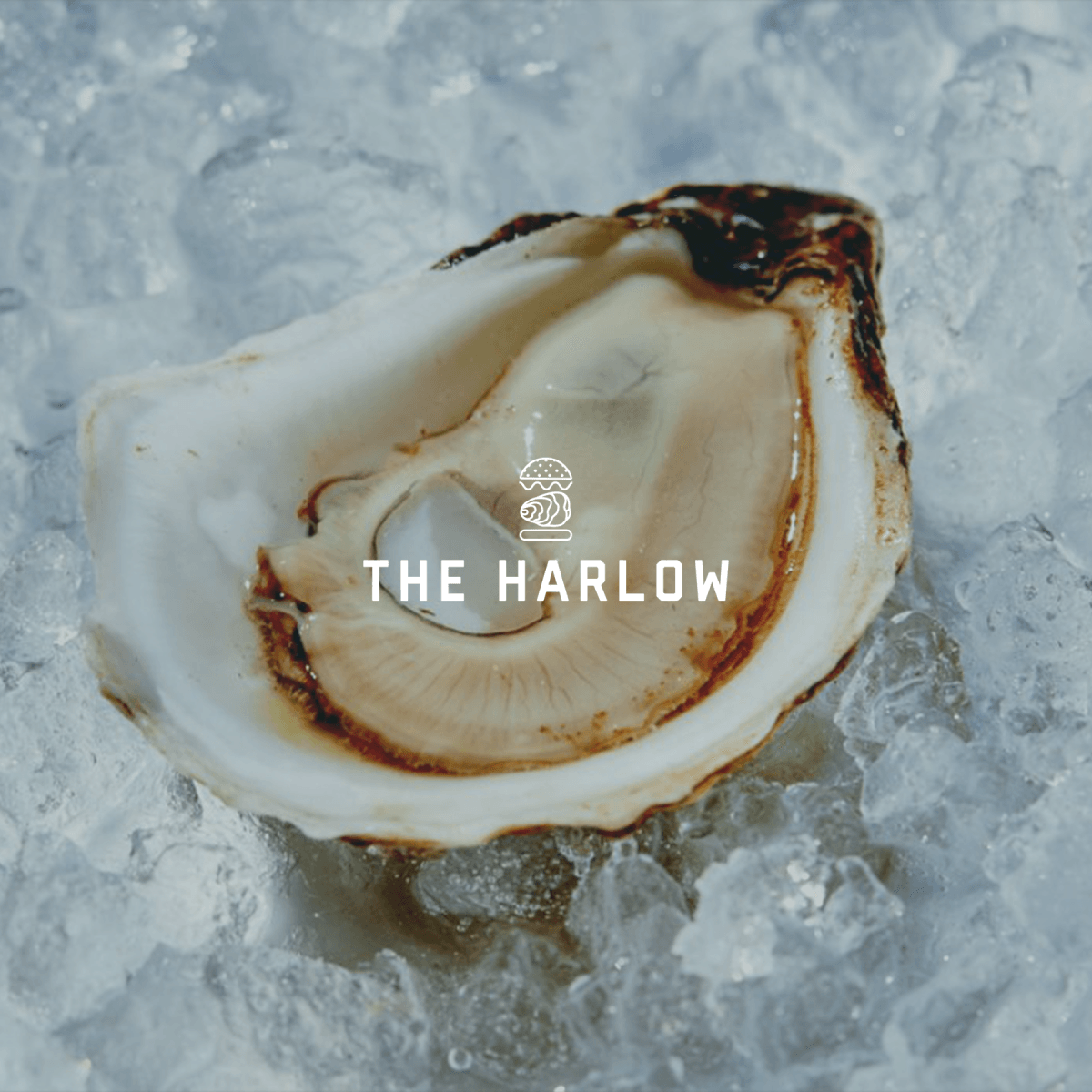 The Harlow logo