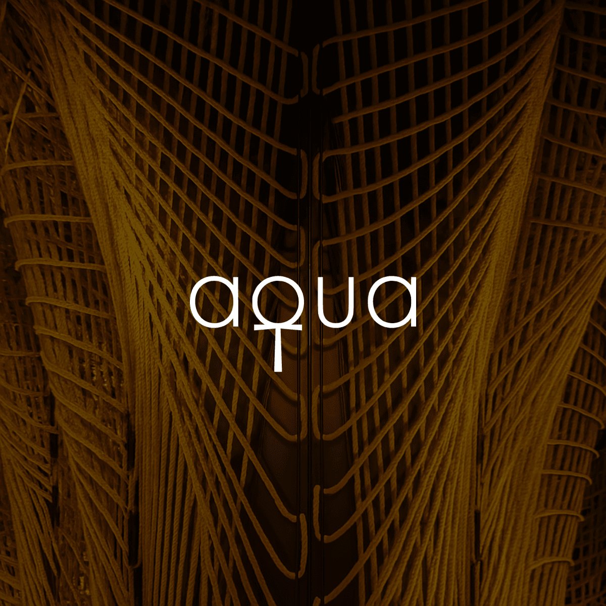 Aqua logo