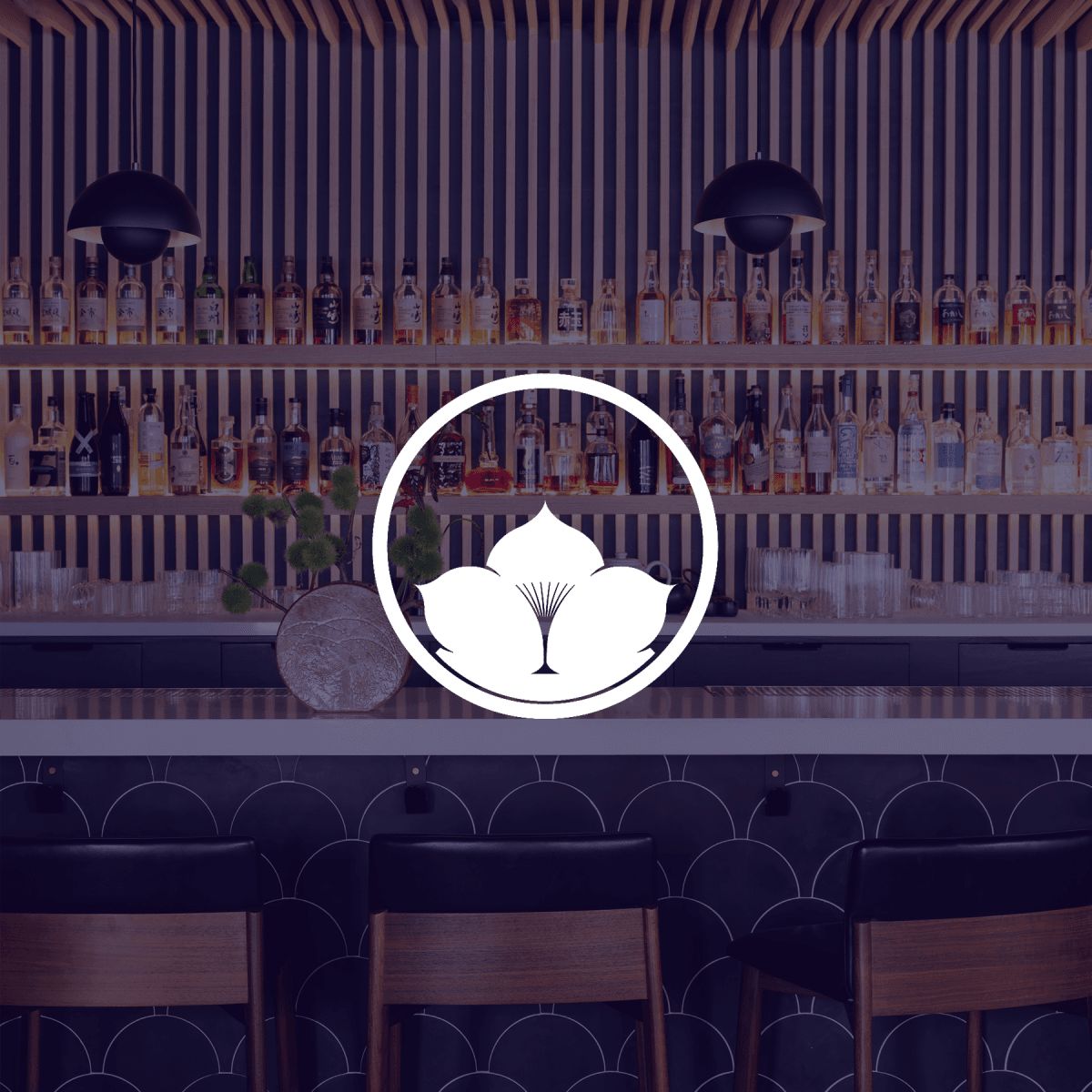 Bar Iris logo