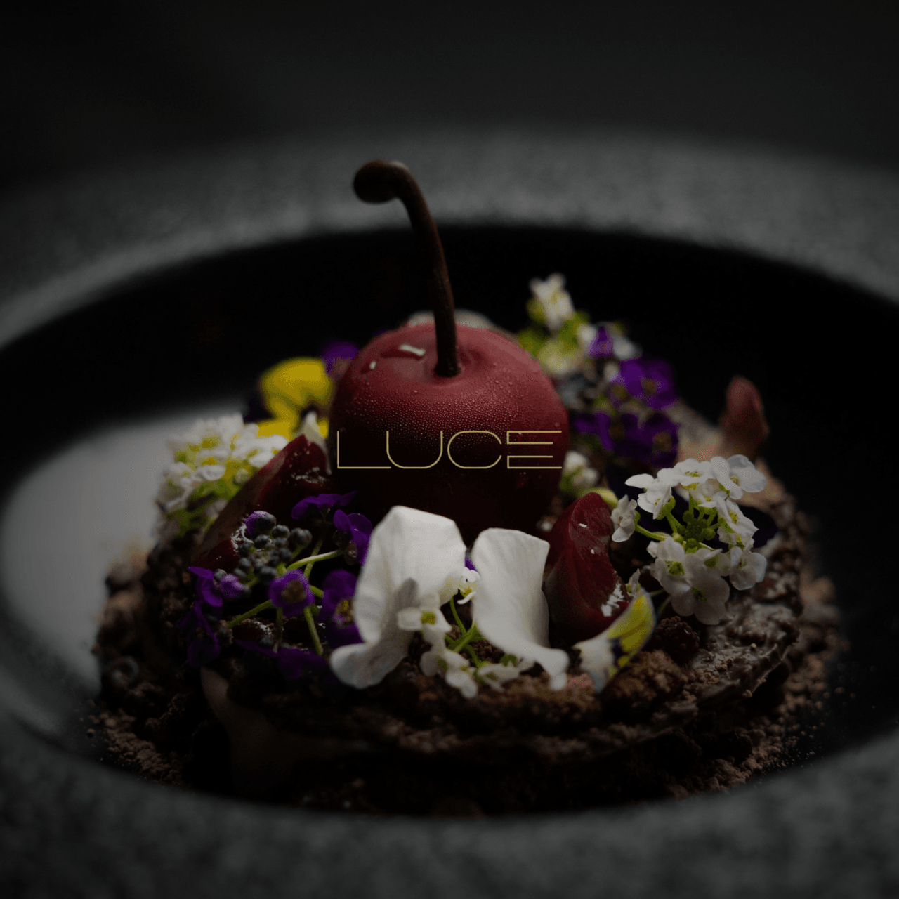 Luce logo