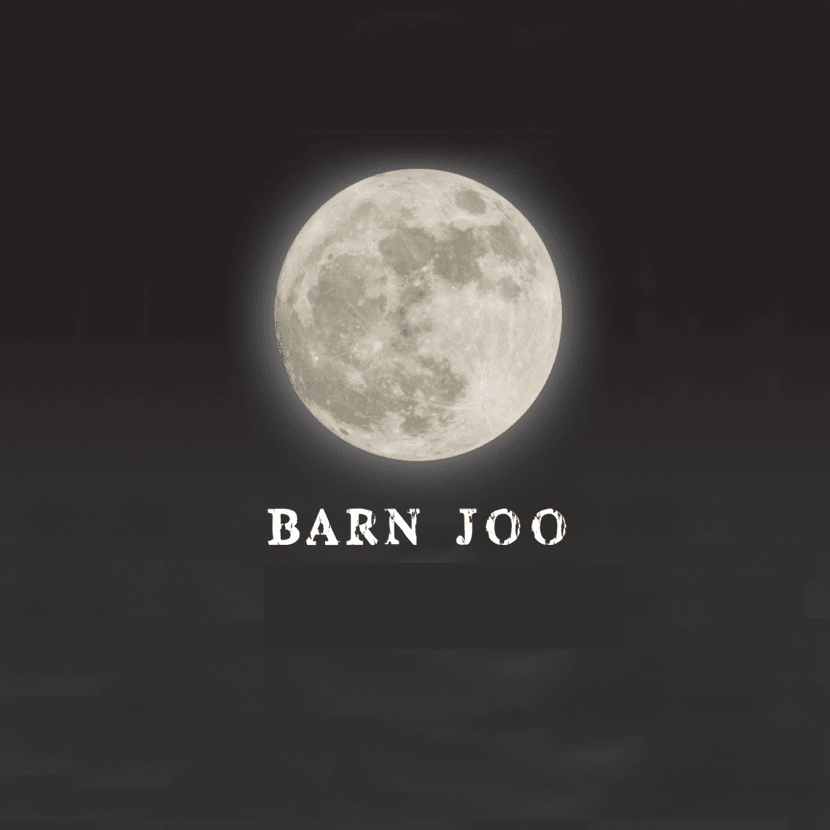 Barn Joo logo