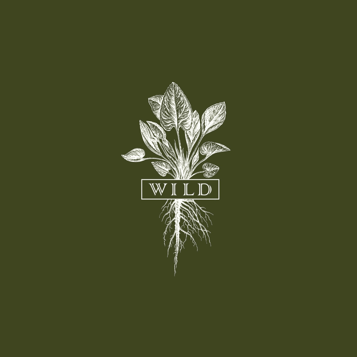Wild logo