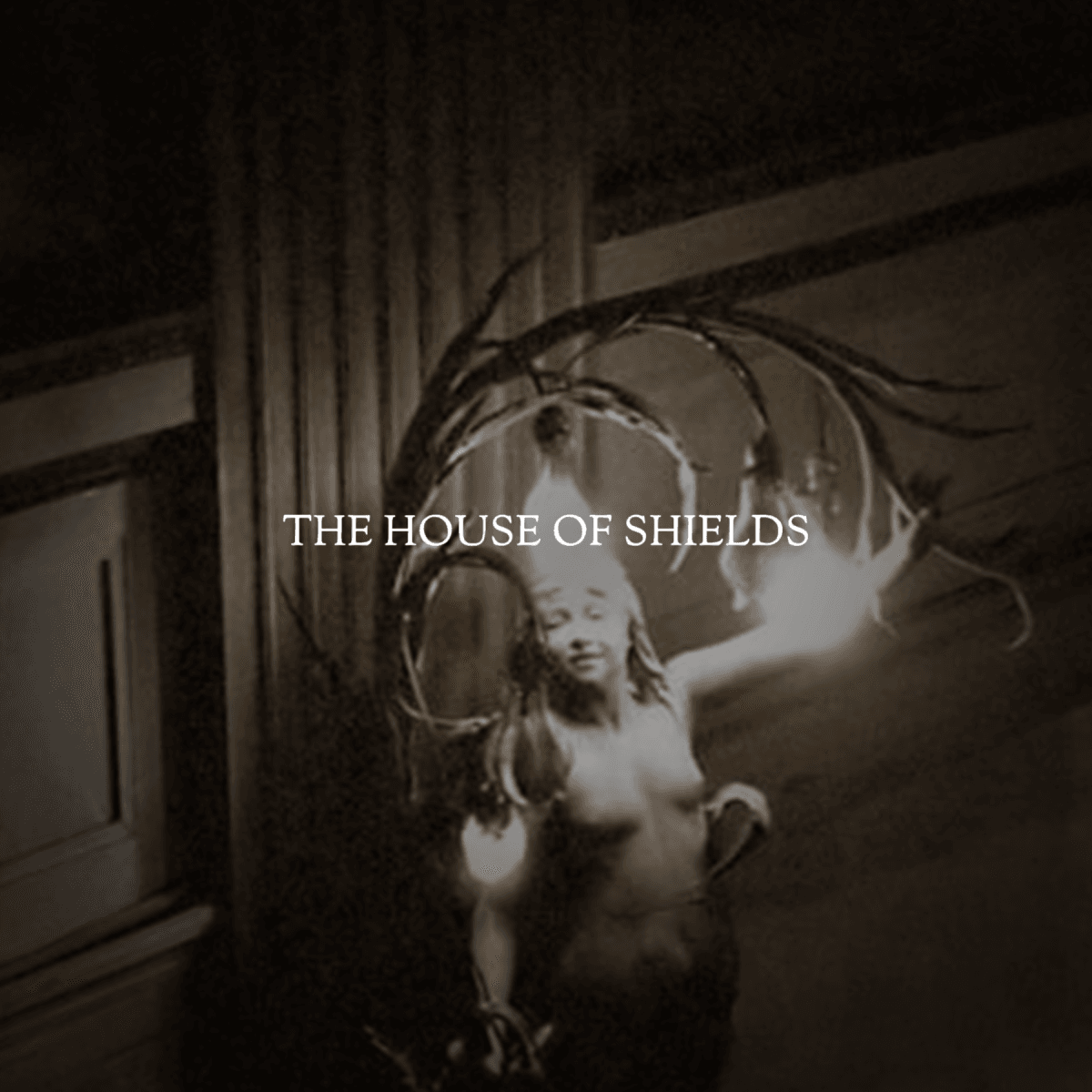 The House Of Shields logo