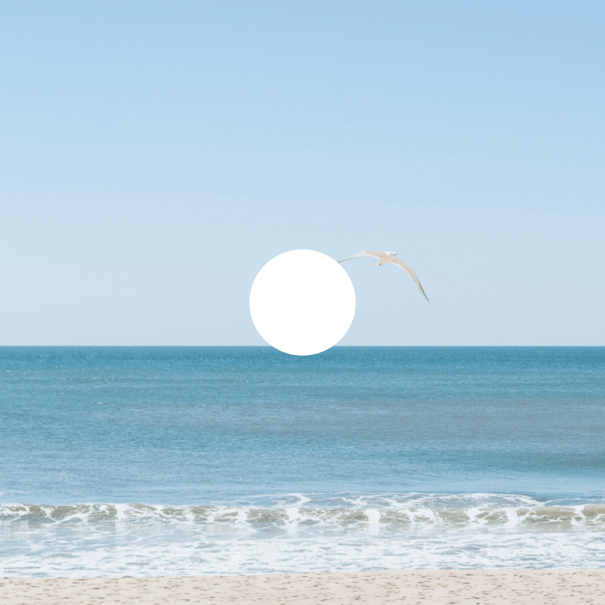 Montauk Beach House Bar & Grill logo