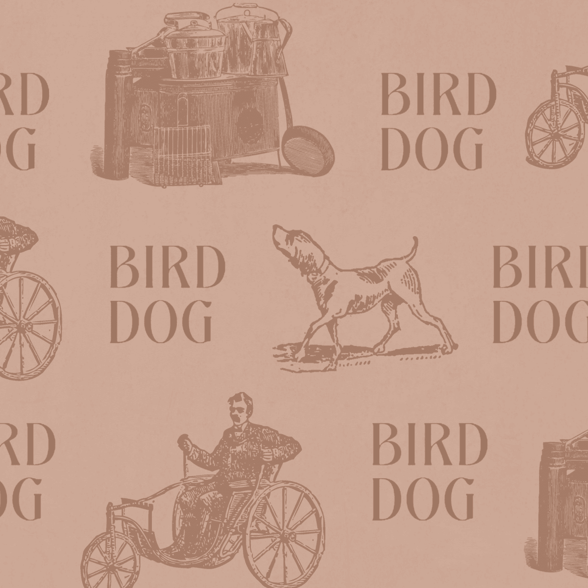 Bird Dog logo