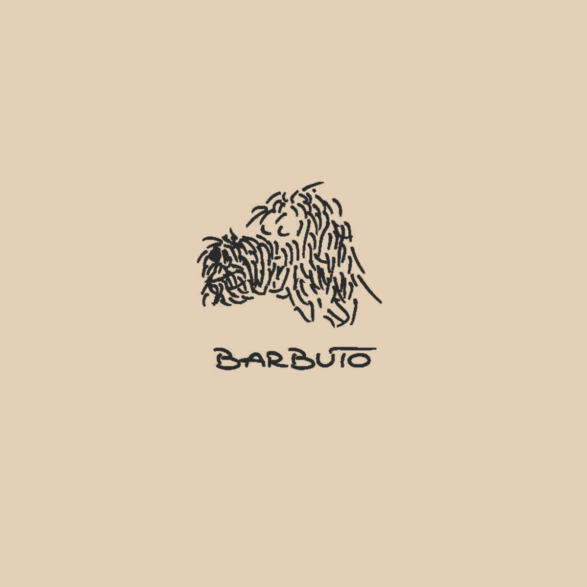 Barbuto
