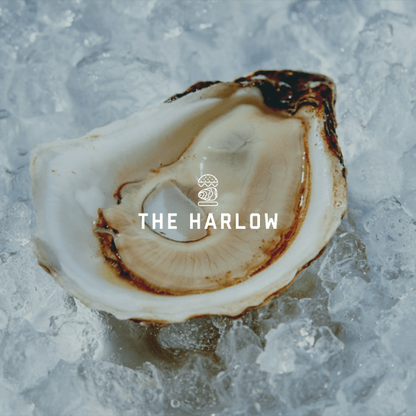 The Harlow logo