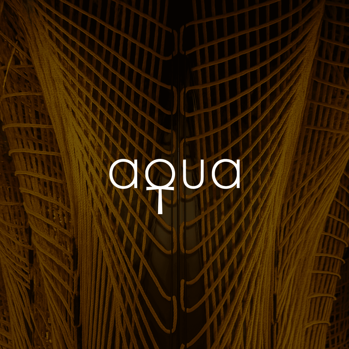 Aqua