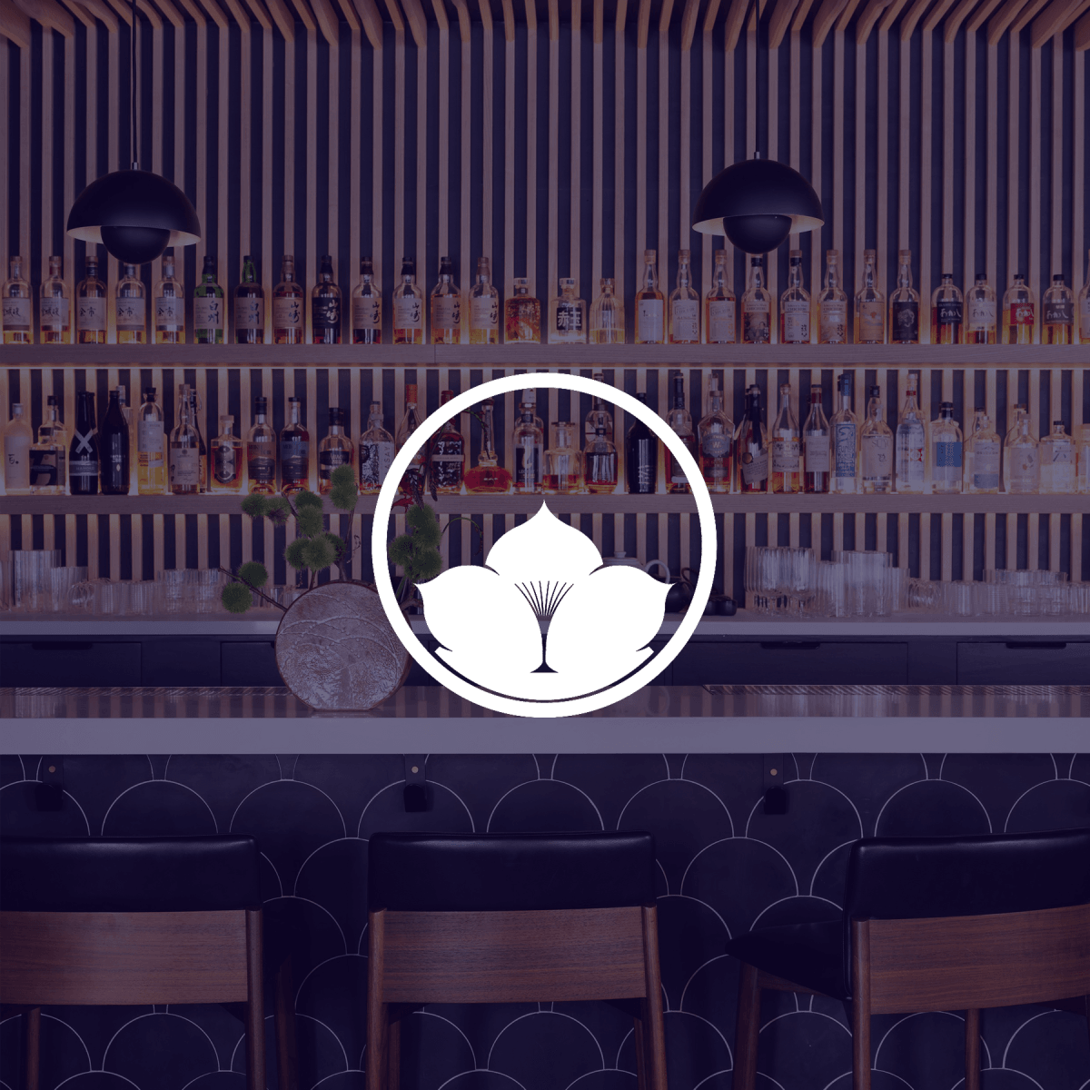 Bar Iris