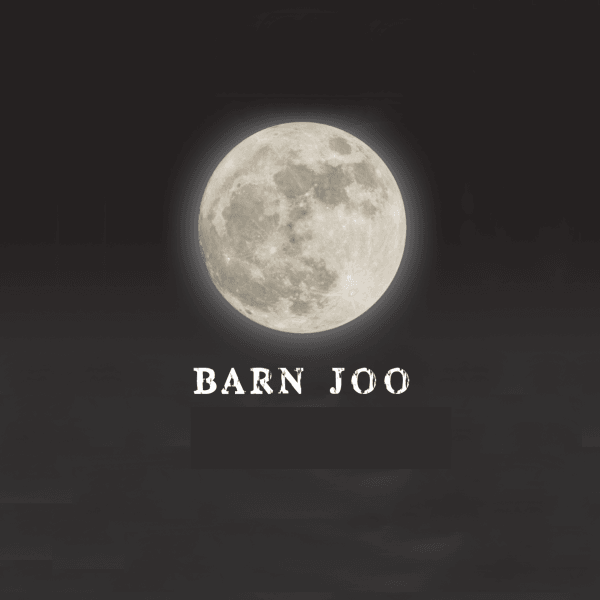 Barn Joo logo