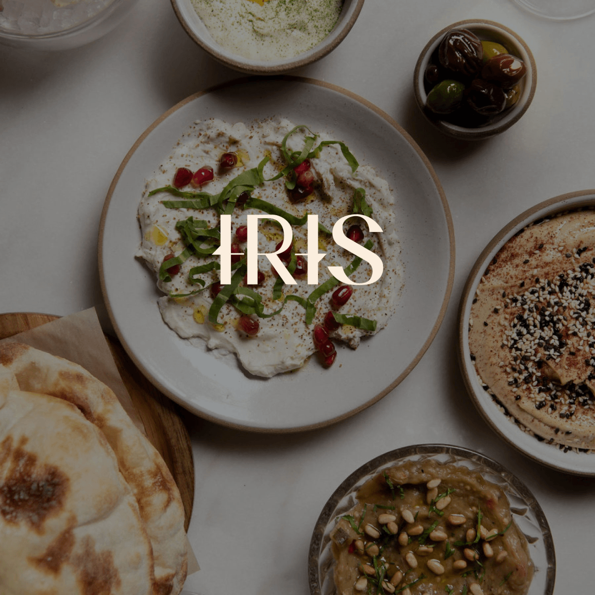 IRIS logo
