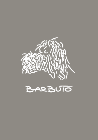 Barbuto logo
