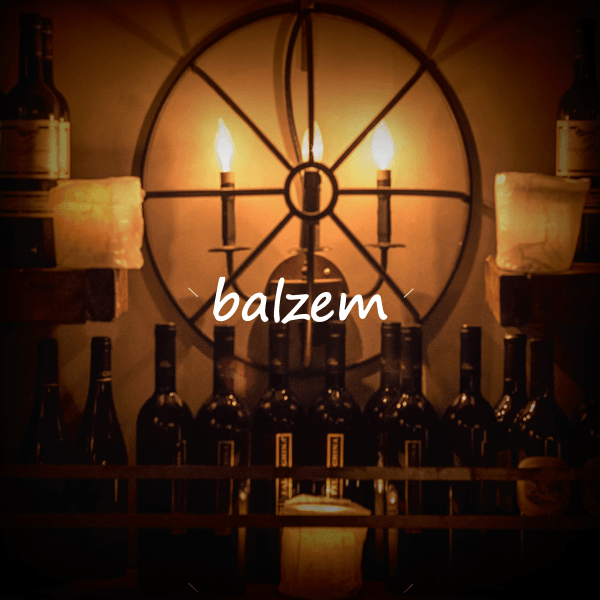Balzem logo