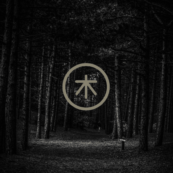 Thursday Kitchen logo