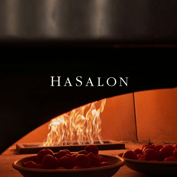 HaSalon logo