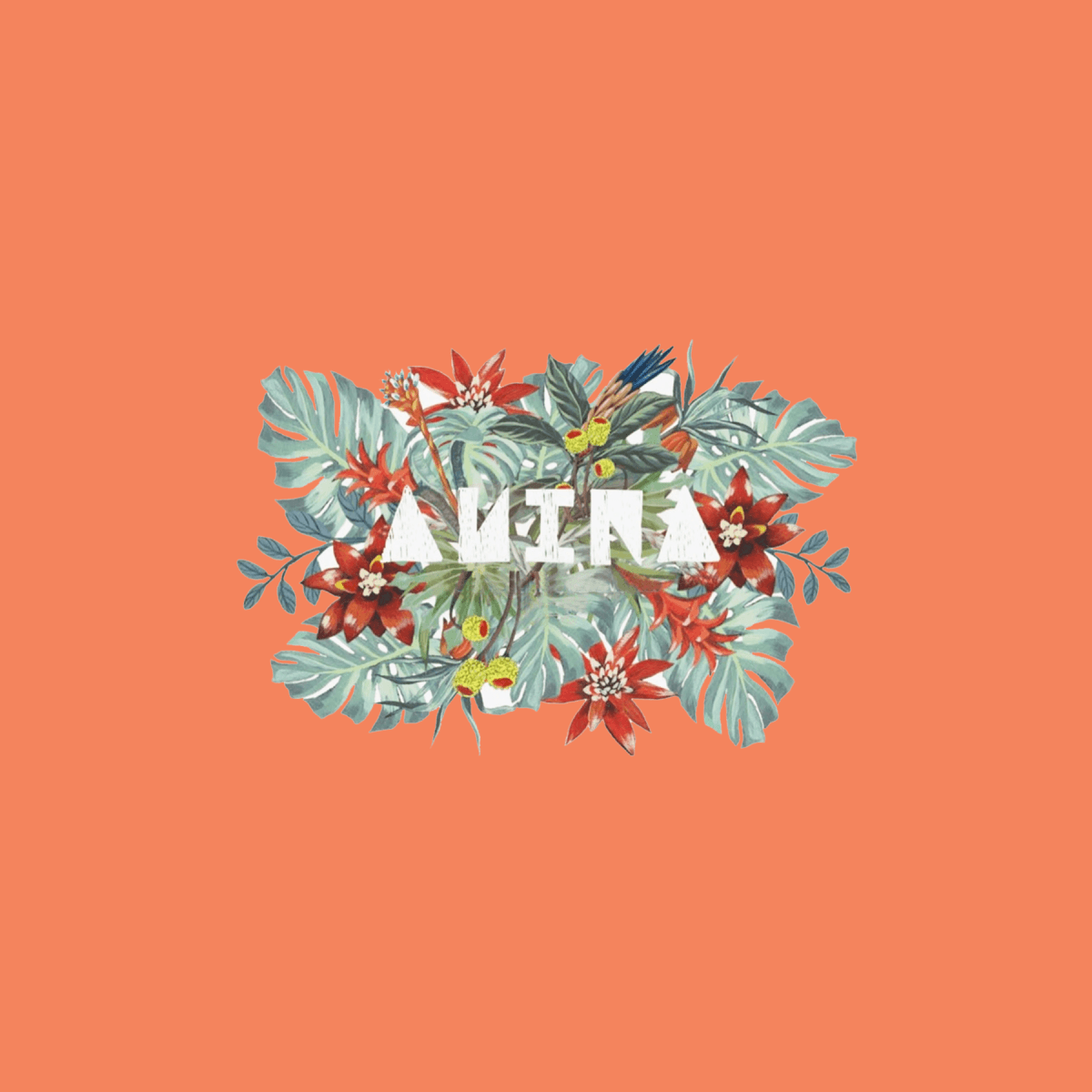 ANINA logo