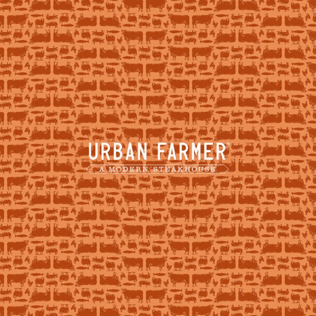 Urban Farmer Denver