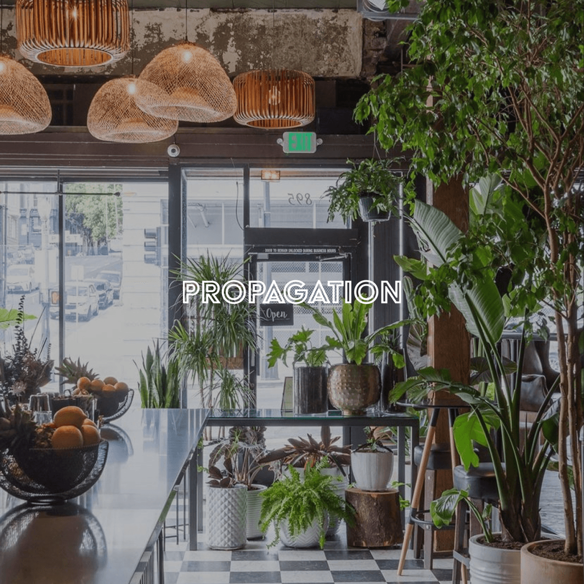 Propagation