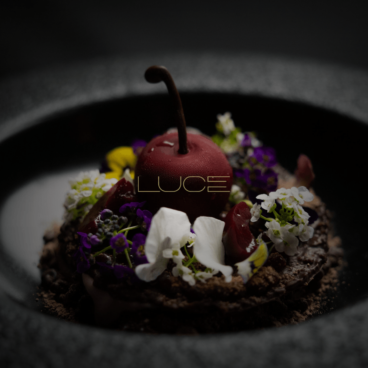 Luce logo