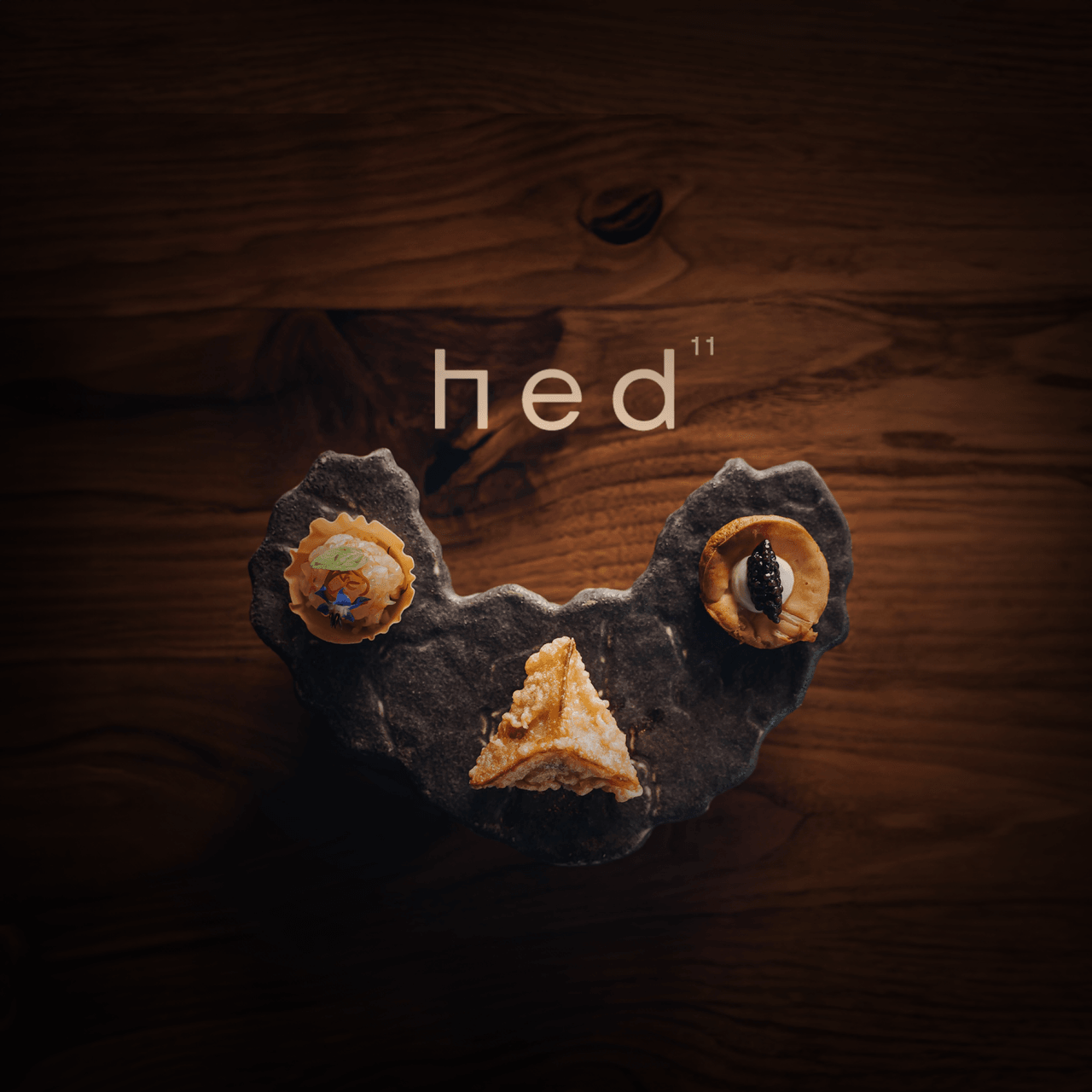 HED 11 logo