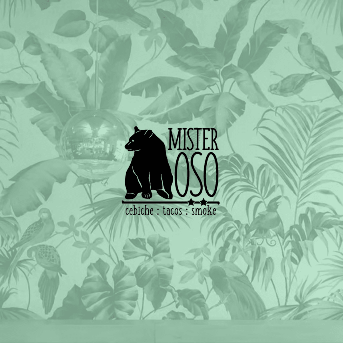 Mister Oso