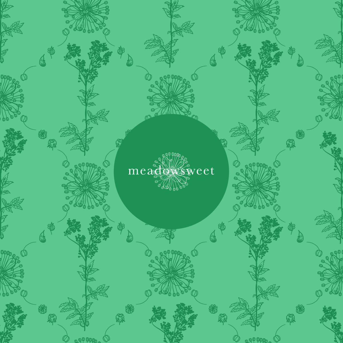 Meadowsweet